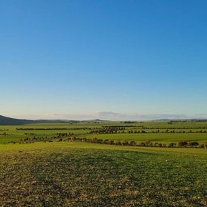 Meet your Posher, Monique